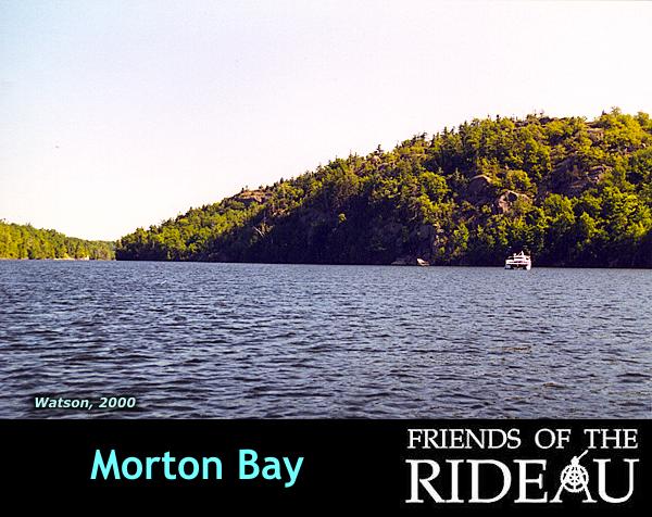 Morton Bay